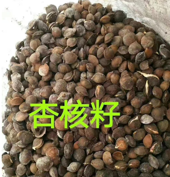 公主岭市公主岭各种树种子供应电话